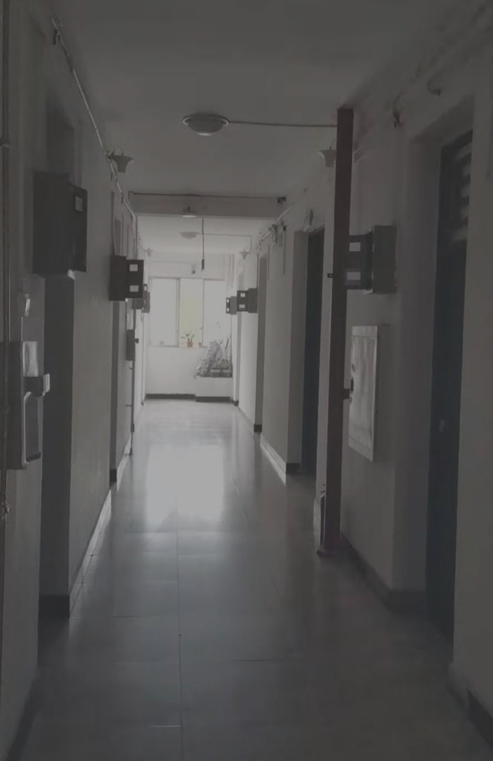 江苏森维案例实景图 江苏森维案例实景图